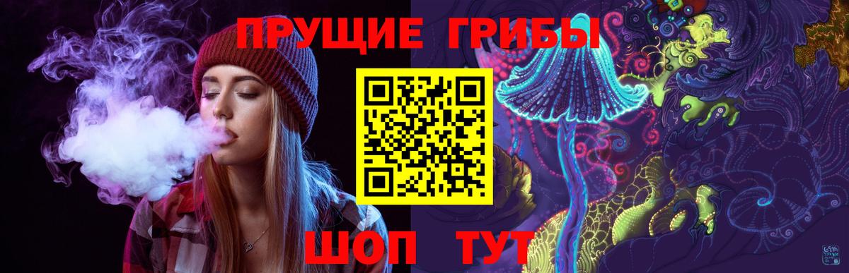 закладка  Псилоцибиновые грибы Cubensis  Вход с VPN  Павлово 